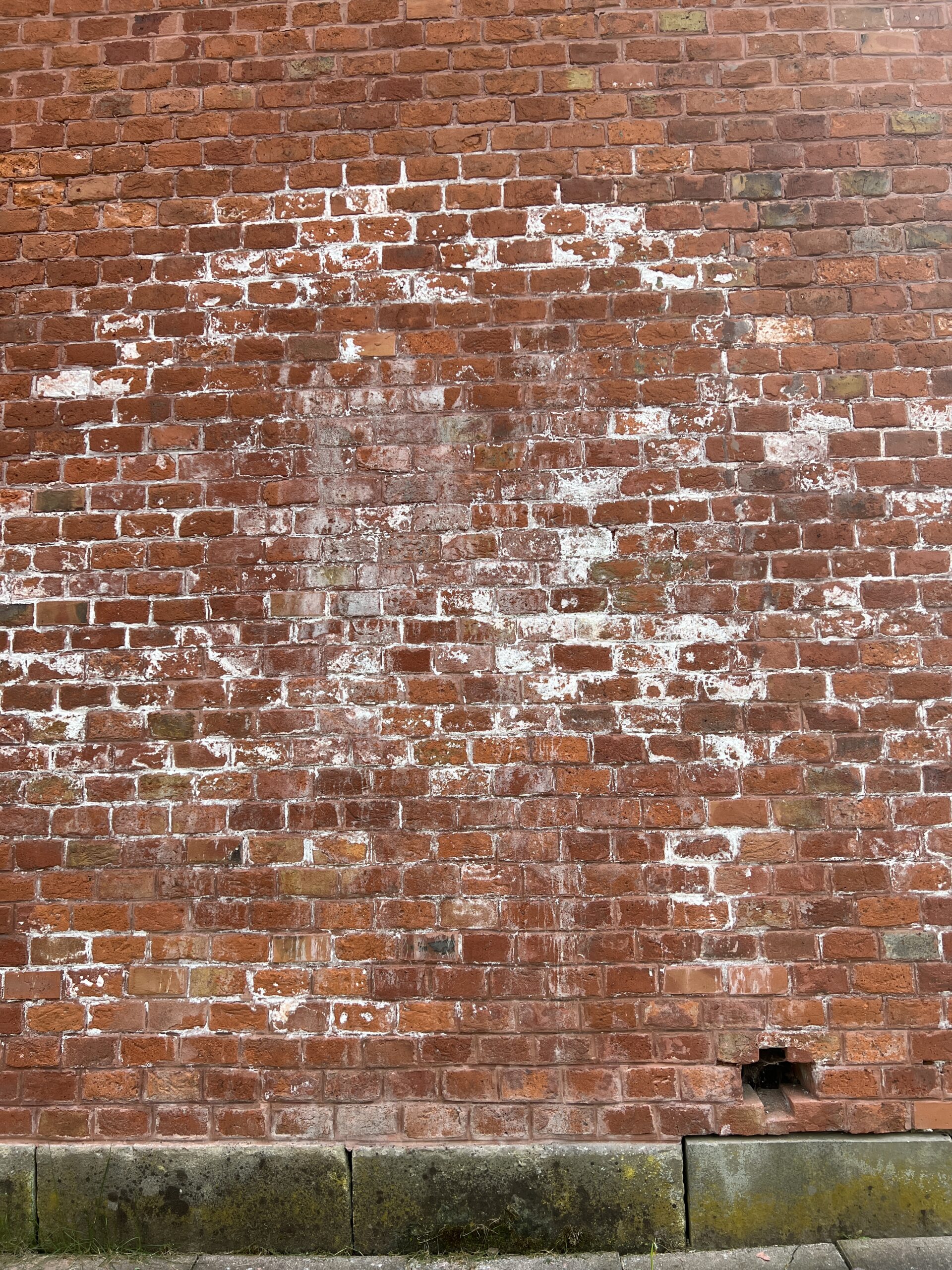 Harmful Effects of Moisture and Salts
